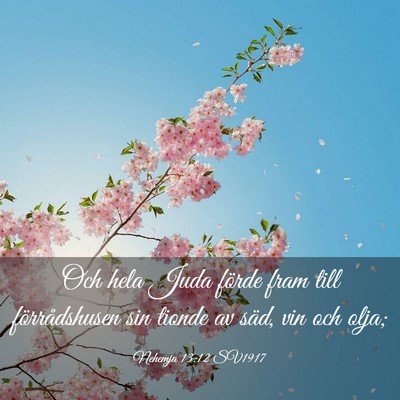 Picture 03 - Nehemja 13:12 SV1917 - Och hela Juda förde fram till förrådshusen sin - Bible Verse Picture