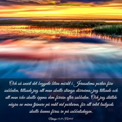 Picture 03 - Nehemja 13:19 SV1917 - Och så snart det begynte bliva mörkt i - Bible Verse Picture