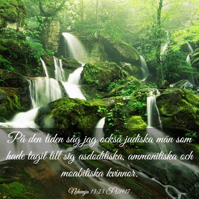 Picture 03 - Nehemja 13:23 SV1917 - På den tiden såg jag också judiska män som - Bible Verse Picture