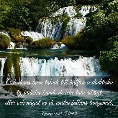Picture 03 - Nehemja 13:24 SV1917 - Och deras barn talade till hälften asdoditiska - Bible Verse Picture