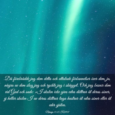 Picture 03 - Nehemja 13:25 SV1917 - Då förebrådde jag dem detta och uttalade - Bible Verse Picture