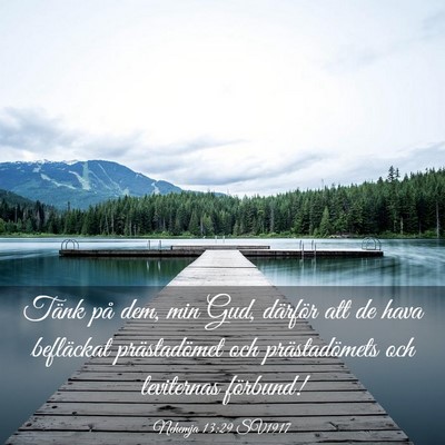 Picture 03 - Nehemja 13:29 SV1917 - Tänk på dem, min Gud, därför att de hava - Bible Verse Picture