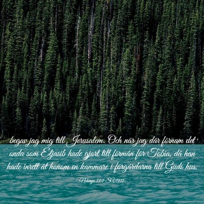 Picture 03 - Nehemja 13:7 SV1917 - begav jag mig till Jerusalem. Och när jag där - Bible Verse Picture