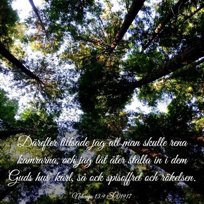Picture 03 - Nehemja 13:9 SV1917 - Därefter tillsade jag att man skulle rena - Bible Verse Picture