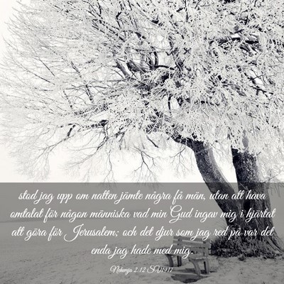 Picture 03 - Nehemja 2:12 SV1917 - stod jag upp om natten jämte några få män, - Bible Verse Picture