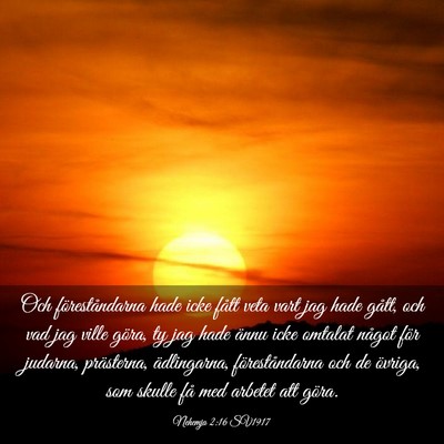 Picture 03 - Nehemja 2:16 SV1917 - Och föreståndarna hade icke fått veta vart jag - Bible Verse Picture