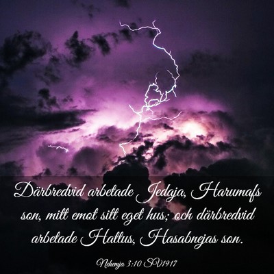 Picture 03 - Nehemja 3:10 SV1917 - Därbredvid arbetade Jedaja, Harumafs son, mitt - Bible Verse Picture
