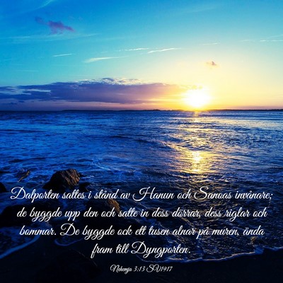 Picture 03 - Nehemja 3:13 SV1917 - Dalporten sattes i stånd av Hanun och Sanoas - Bible Verse Picture