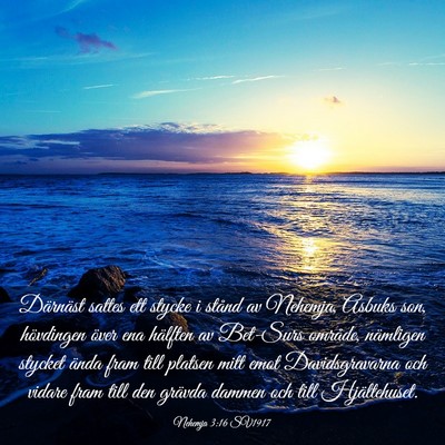 Picture 03 - Nehemja 3:16 SV1917 - Därnäst sattes ett stycke i stånd av Nehemja, - Bible Verse Picture