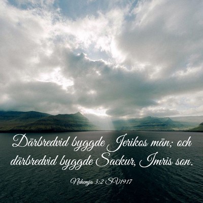 Picture 03 - Nehemja 3:2 SV1917 - Därbredvid byggde Jerikos män; och därbredvid - Bible Verse Picture