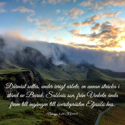 Picture 03 - Nehemja 3:20 SV1917 - Därnäst sattes, under ivrigt arbete, en annan - Bible Verse Picture