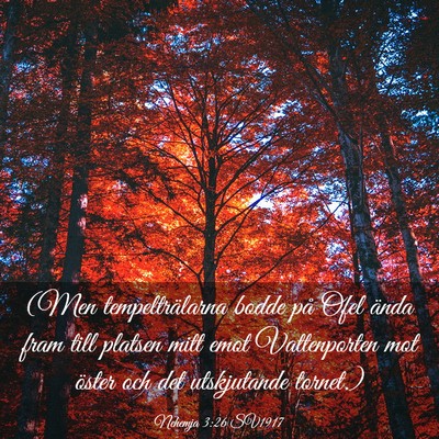 Picture 03 - Nehemja 3:26 SV1917 - (Men tempelträlarna bodde på Ofel ända fram - Bible Verse Picture