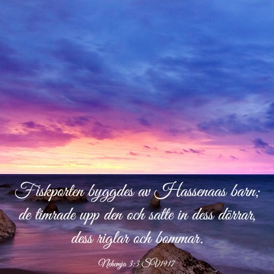 Picture 03 - Nehemja 3:3 SV1917 - Fiskporten byggdes av Hassenaas barn; de timrade - Bible Verse Picture