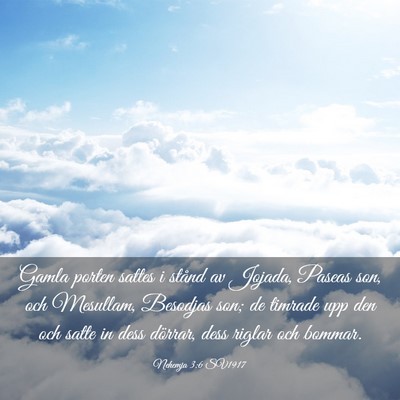 Picture 03 - Nehemja 3:6 SV1917 - Gamla porten sattes i stånd av Jojada, Paseas - Bible Verse Picture