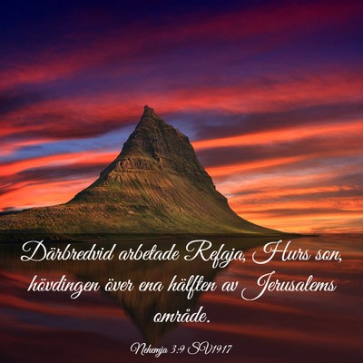 Picture 03 - Nehemja 3:9 SV1917 - Därbredvid arbetade Refaja, Hurs son, hövdingen - Bible Verse Picture