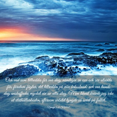 Picture 03 - Nehemja 5:18 SV1917 - Och vad som tillreddes för var dag, nämligen en - Bible Verse Picture