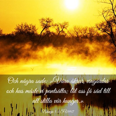 Picture 03 - Nehemja 5:3 SV1917 - Och några sade: »Våra åkrar, vingårdar och - Bible Verse Picture