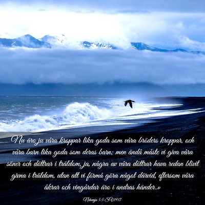 Picture 03 - Nehemja 5:5 SV1917 - Nu äro ju våra kroppar lika goda som våra - Bible Verse Picture