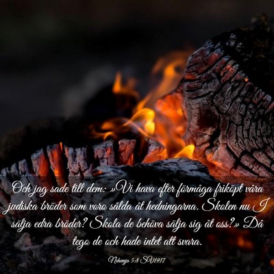 Picture 03 - Nehemja 5:8 SV1917 - Och jag sade till dem: »Vi hava efter förmåga - Bible Verse Picture