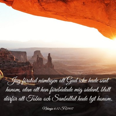 Picture 03 - Nehemja 6:12 SV1917 - Jag förstod nämligen att Gud icke hade sänt - Bible Verse Picture