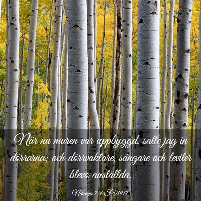 Picture 03 - Nehemja 7:1 SV1917 - När nu muren var uppbyggd, satte jag in - Bible Verse Picture