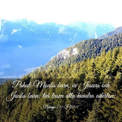 Picture 03 - Nehemja 7:11 SV1917 - Pahat-Moabs barn, av Jesuas och Joabs barn: två - Bible Verse Picture