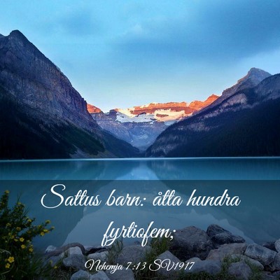 Picture 03 - Nehemja 7:13 SV1917 - Sattus barn: åtta hundra - Bible Verse Picture