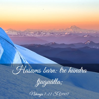 Picture 03 - Nehemja 7:22 SV1917 - Hasums barn: tre hundra - Bible Verse Picture