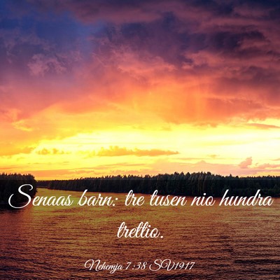 Picture 03 - Nehemja 7:38 SV1917 - Senaas barn: tre tusen nio hundra - Bible Verse Picture