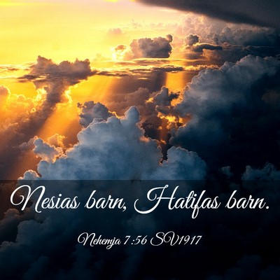 Picture 03 - Nehemja 7:56 SV1917 - Nesias barn, Hatifas - Bible Verse Picture