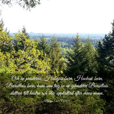 Picture 03 - Nehemja 7:63 SV1917 - Och av prästerna: Habajas barn, Hackos' barn, - Bible Verse Picture