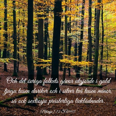 Picture 03 - Nehemja 7:72 SV1917 - Och det övriga folkets gåvor utgjorde i guld - Bible Verse Picture