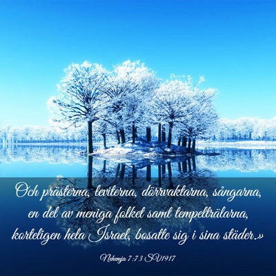 Picture 03 - Nehemja 7:73 SV1917 - Och prästerna, leviterna, dörrvaktarna, - Bible Verse Picture