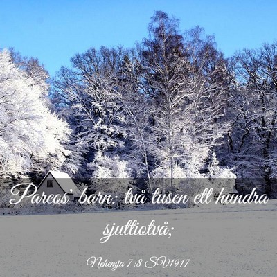 Picture 03 - Nehemja 7:8 SV1917 - Pareos' barn: två tusen ett hundra - Bible Verse Picture