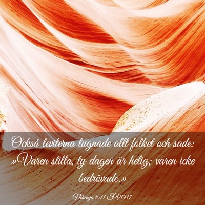 Picture 03 - Nehemja 8:11 SV1917 - Också leviterna lugnade allt folket och sade: - Bible Verse Picture