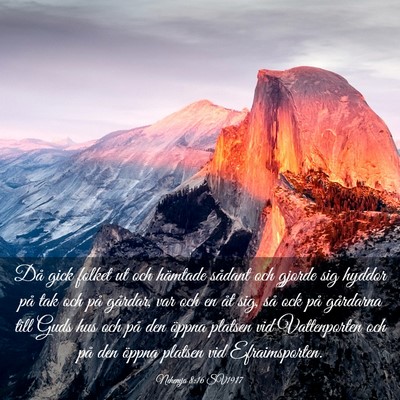 Picture 03 - Nehemja 8:16 SV1917 - Då gick folket ut och hämtade sådant och - Bible Verse Picture