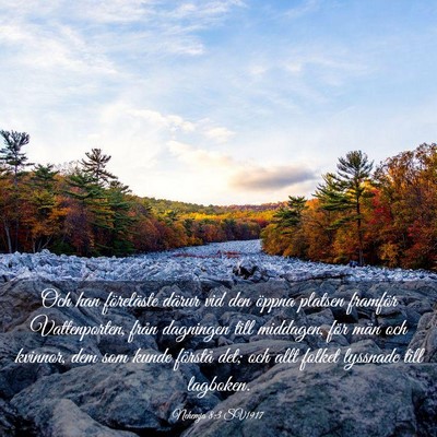 Picture 03 - Nehemja 8:3 SV1917 - Och han föreläste därur vid den öppna platsen - Bible Verse Picture