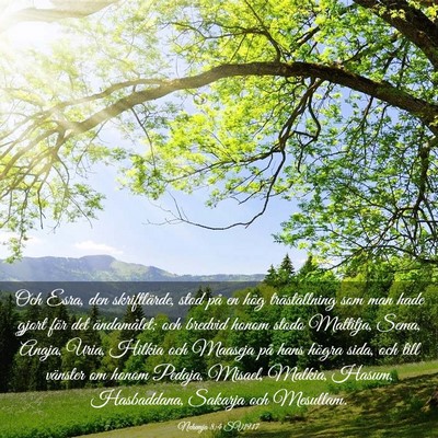 Picture 03 - Nehemja 8:4 SV1917 - Och Esra, den skriftlärde, stod på en hög - Bible Verse Picture
