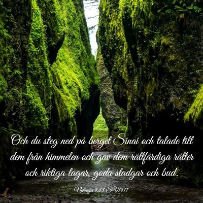 Picture 03 - Nehemja 9:13 SV1917 - Och du steg ned på berget Sinai och talade till - Bible Verse Picture