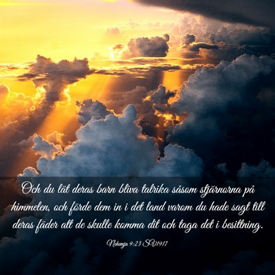 Picture 03 - Nehemja 9:23 SV1917 - Och du lät deras barn bliva talrika såsom - Bible Verse Picture