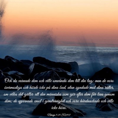 Picture 03 - Nehemja 9:29 SV1917 - Och du varnade dem och ville omvända dem till - Bible Verse Picture