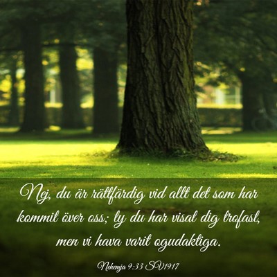 Picture 03 - Nehemja 9:33 SV1917 - Nej, du är rättfärdig vid allt det som har - Bible Verse Picture
