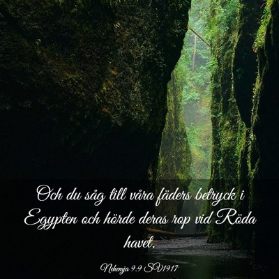 Picture 03 - Nehemja 9:9 SV1917 - Och du såg till våra fäders betryck i Egypten - Bible Verse Picture