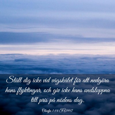Picture 03 - Obadja 1:14 SV1917 - Ställ dig icke vid vägskälet för att nedgöra - Bible Verse Picture