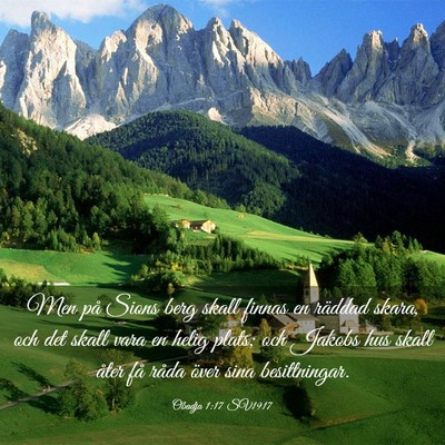 Picture 03 - Obadja 1:17 SV1917 - Men på Sions berg skall finnas en räddad skara, - Bible Verse Picture