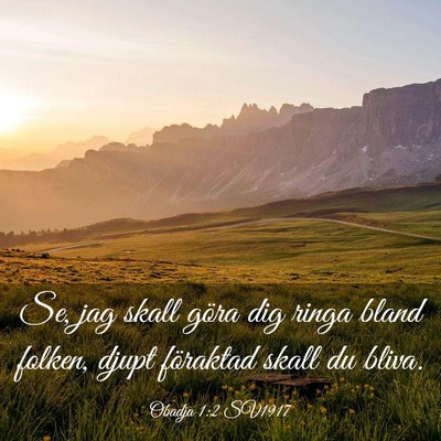Picture 03 - Obadja 1:2 SV1917 - Se, jag skall göra dig ringa bland folken, djupt - Bible Verse Picture