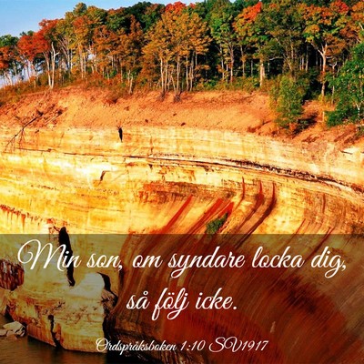 Picture 03 - Ordspråksboken 1:10 SV1917 - Min son, om syndare locka dig, så följ - Bible Verse Picture
