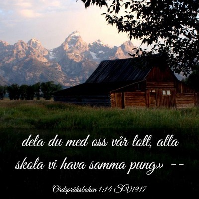 Picture 03 - Ordspråksboken 1:14 SV1917 - dela du med oss vår lott, alla skola vi hava - Bible Verse Picture