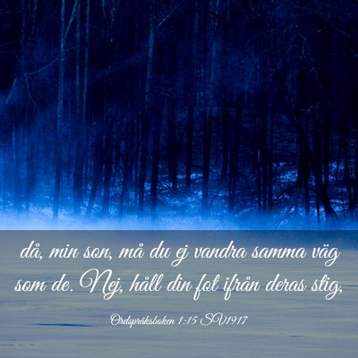 Picture 03 - Ordspråksboken 1:15 SV1917 - då, min son, må du ej vandra samma väg som de. - Bible Verse Picture