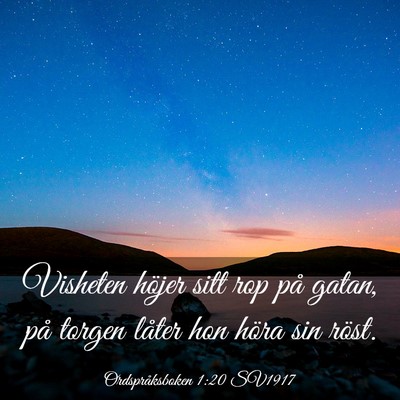 Picture 03 - Ordspråksboken 1:20 SV1917 - Visheten höjer sitt rop på gatan, på torgen - Bible Verse Picture